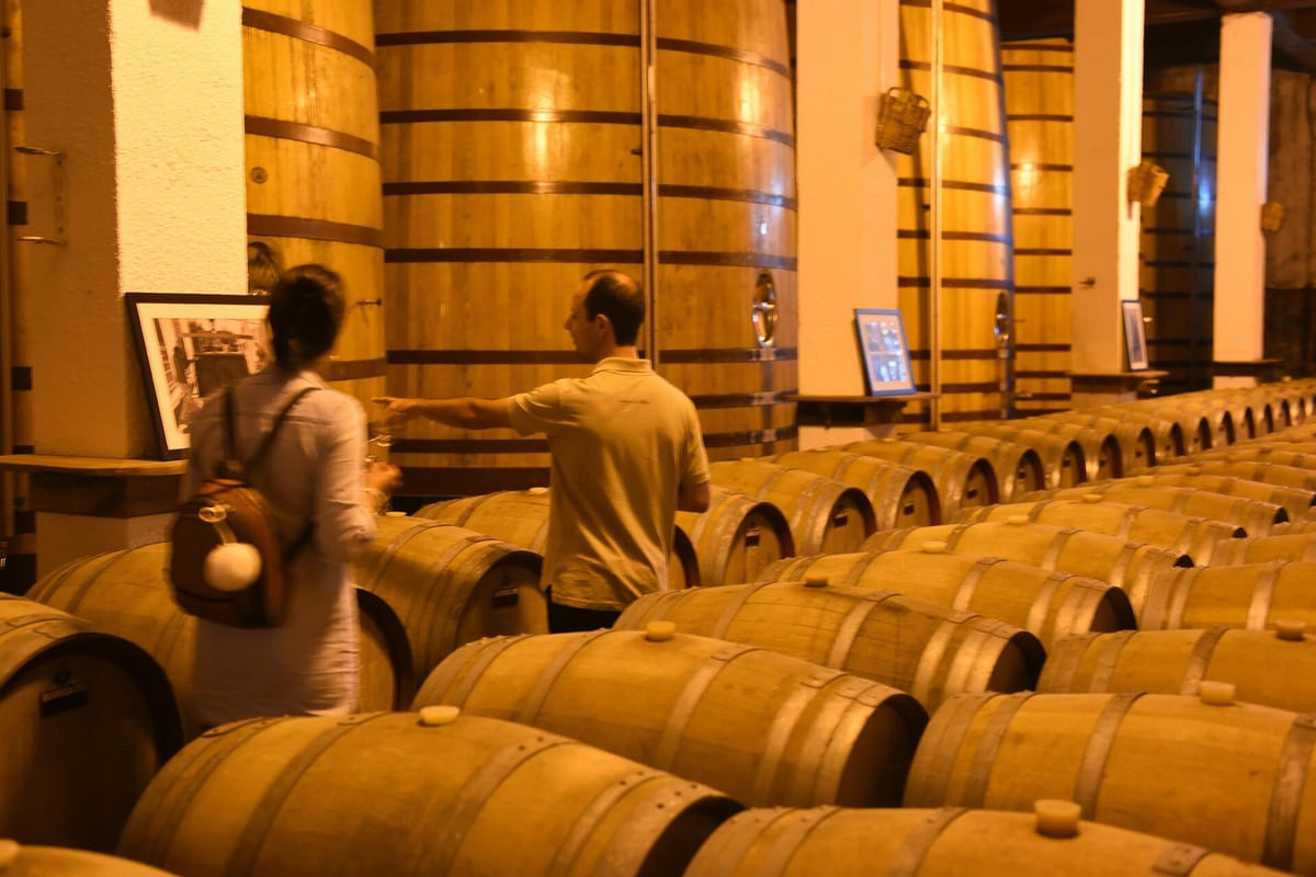 Quinta da Avessada - Tour & Wine Tasting – Sabrosa, Douro