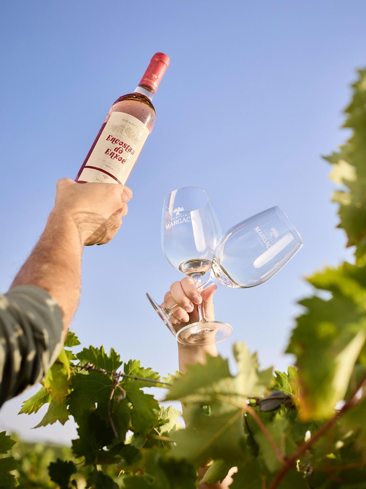 Família Margaça – Visita & Cata de Vinos "Reserva" – Serpa, Alentejo