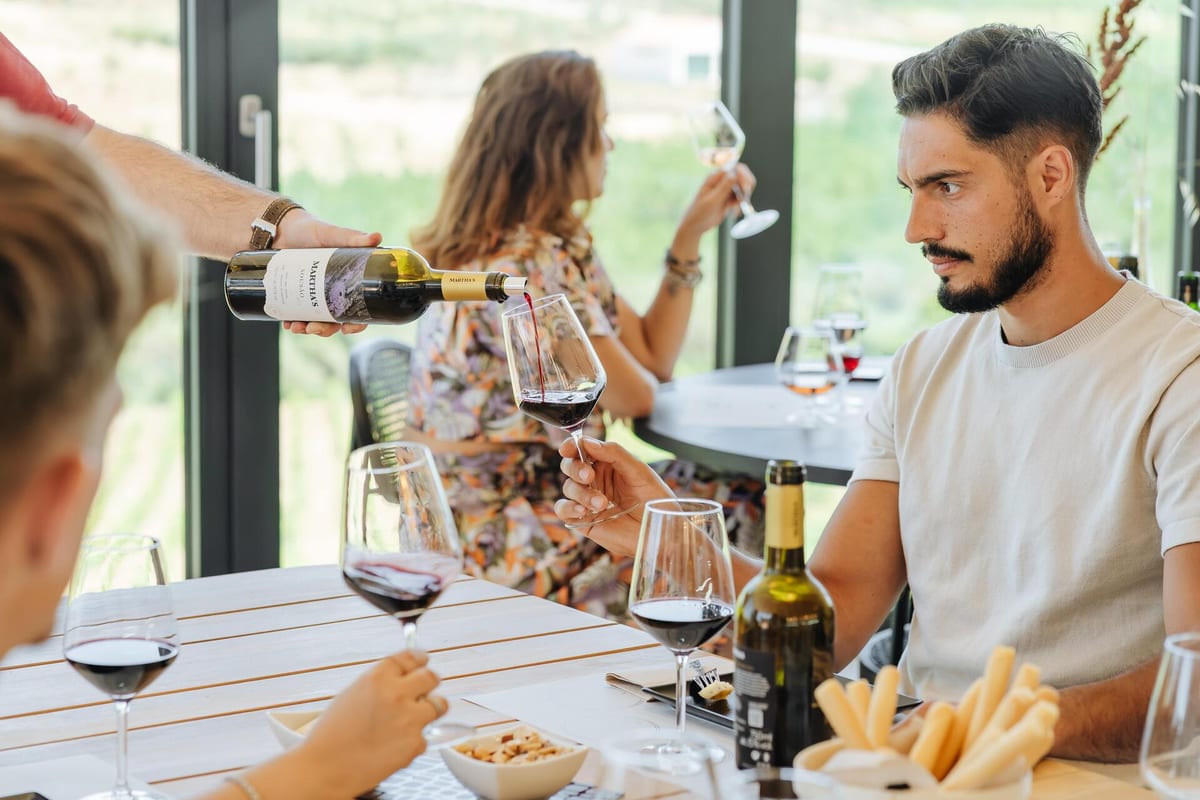 Martha's - Tour & Harvest Wine Tasting – Vila Real, Douro