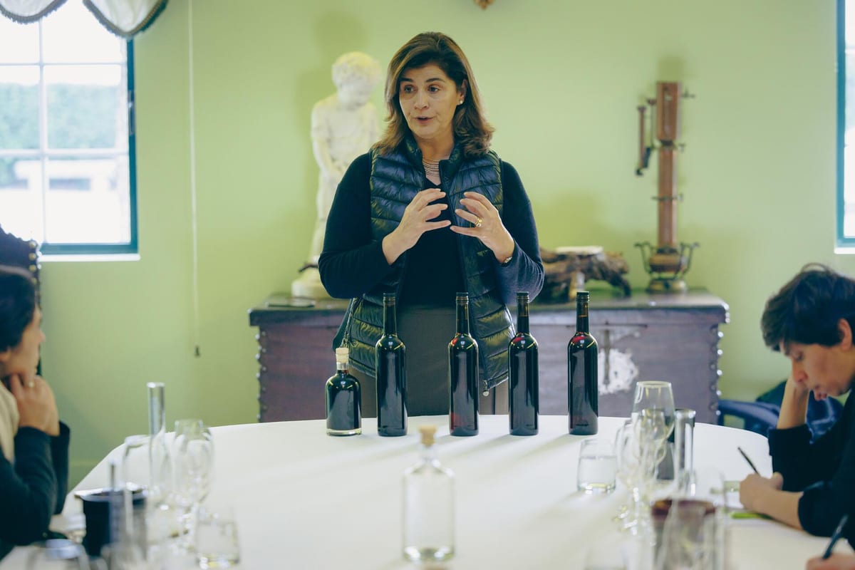 Quinta da Pacheca – Experiência de Blend de Vinho do Porto – Lamego, Douro
