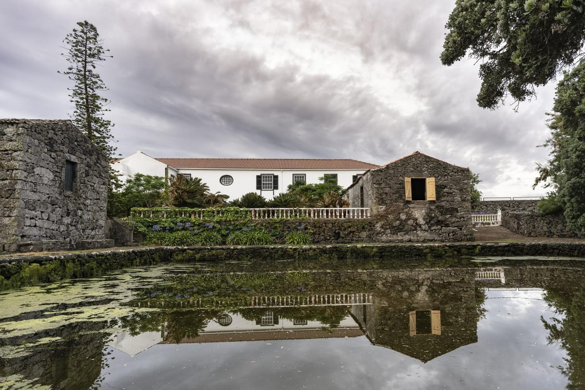 Adega do Vulcão - Tour & Premium Tasting – Madalena, Azores