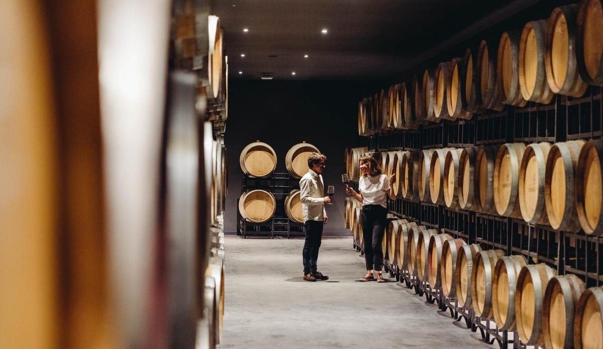 Wine Magnum - Tour & Premium Tasting – Carregal do Sal, Dão & Lafões