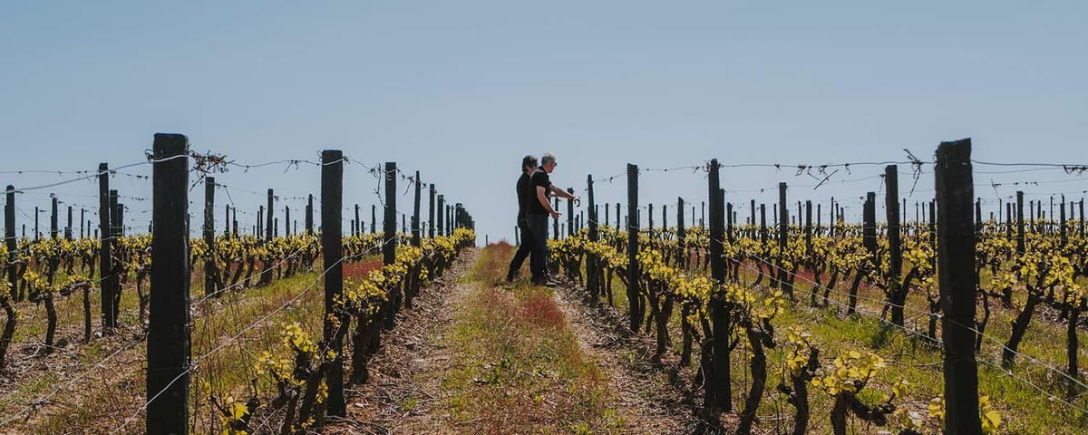Quanta Terra - Visita & Cata Planalto – Alijó, Douro
