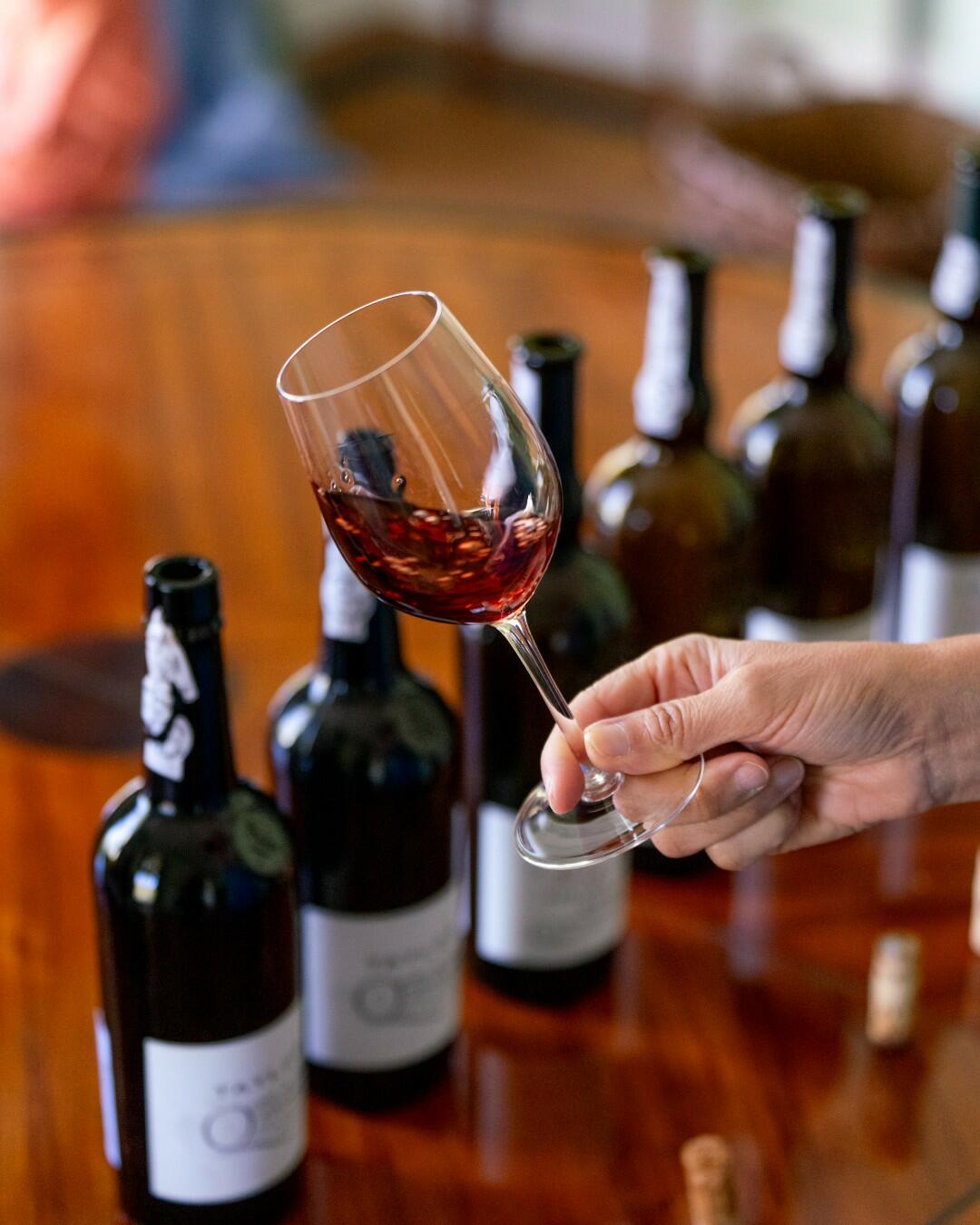 Caves Taylor’s - Masterclass Quinta de Vargellas – Vila Nova de Gaia, Douro