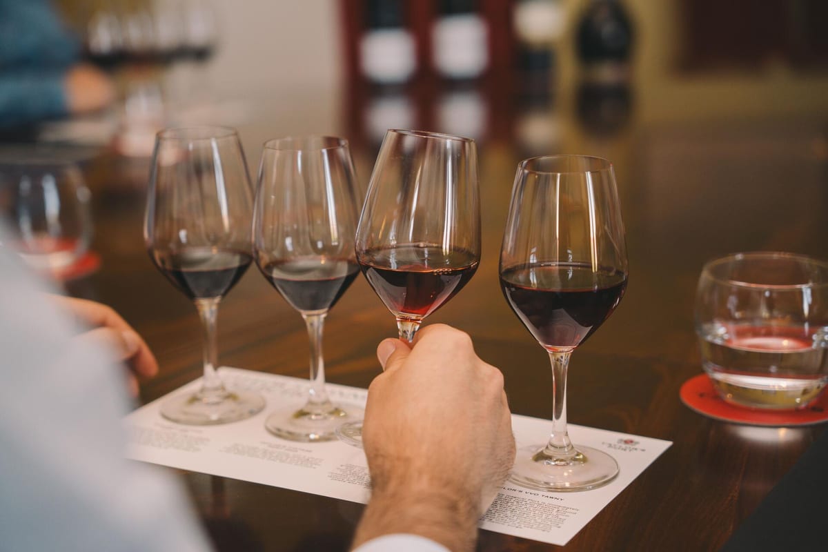 Caves Taylor’s - Masterclass Classic Vintages – Vila Nova de Gaia, Douro
