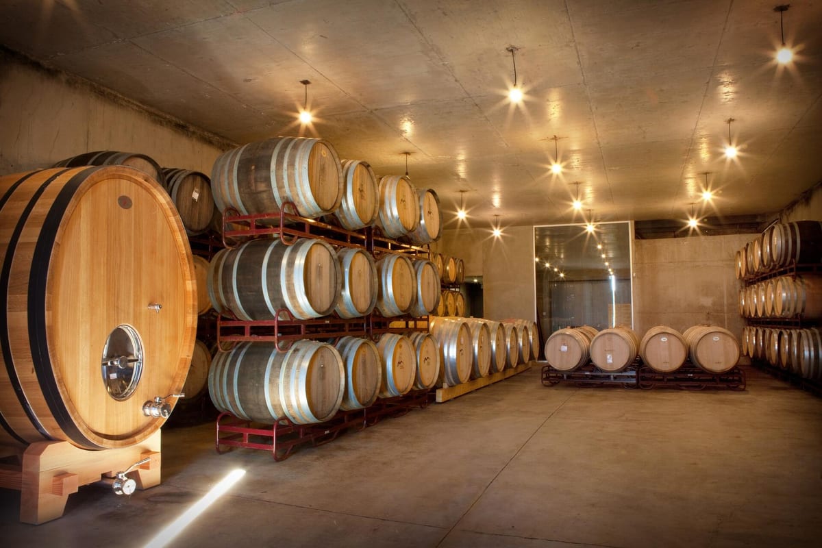 Adega Monte Branco - Premium Wine Tasting – Estremoz, Alentejo