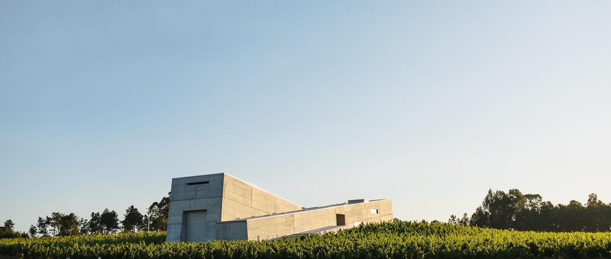 Caminhos Cruzados - Visit & Premium Wine Tasting – Nelas, Dão & Lafões