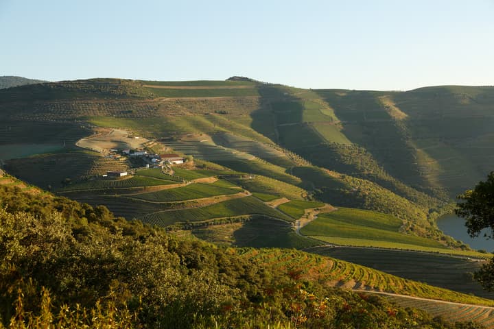 Quinta de Ventozelo