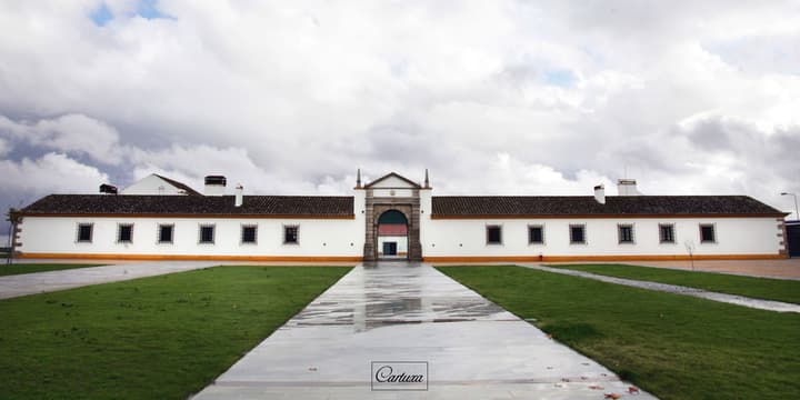 Enoturismo Cartuxa