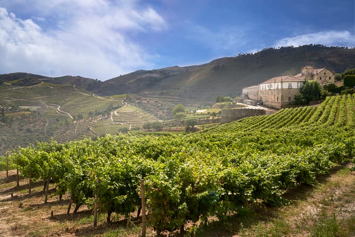 Kranemann Wine Estates