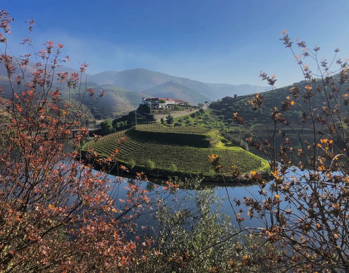 Quinta do Tedo