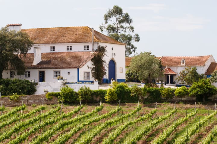 Quinta do Olival da Murta