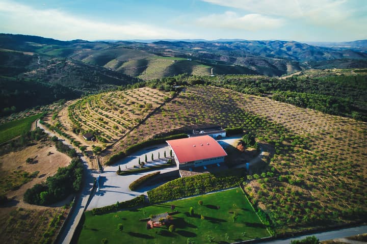 Quinta Vale D'Aldeia