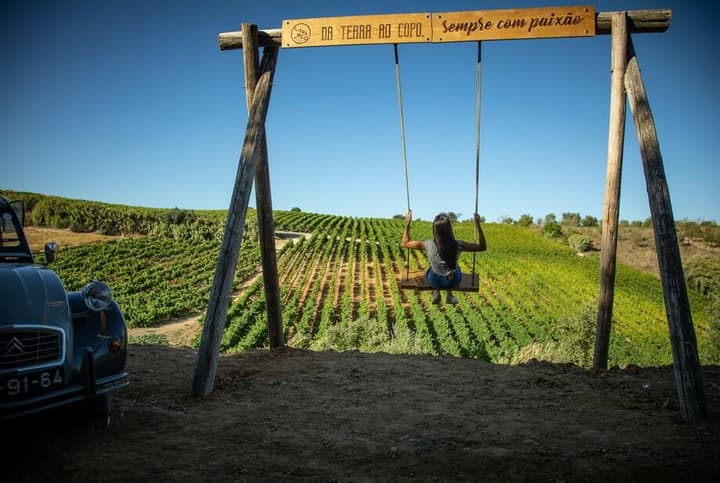 Vinhos Franco