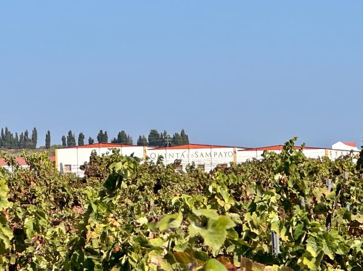 Quinta do Sampayo