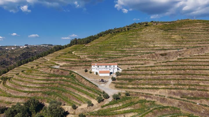 Quinta da Pedra Alta