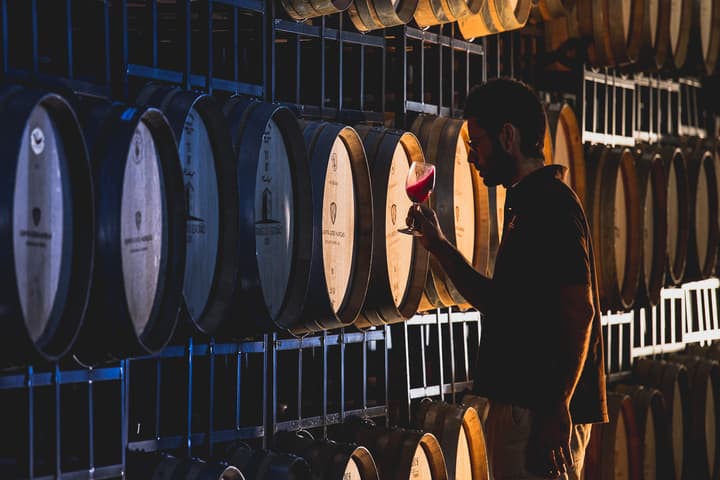 Quinta dos Murças