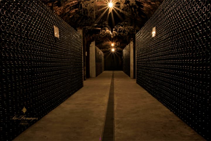 Caves do Solar de São Domingos