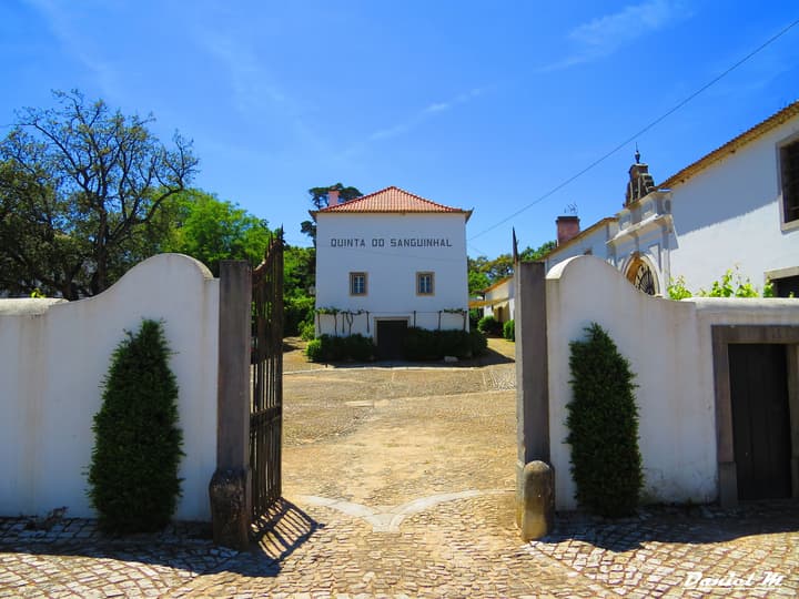Quinta do Sanguinhal