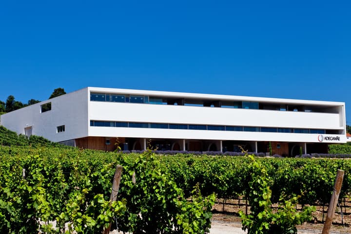 Adegamãe