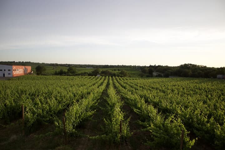 Herdade do Menir