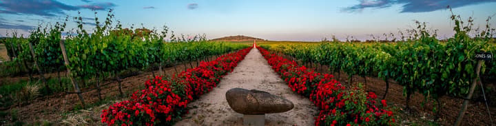Reynolds Wine Growers
