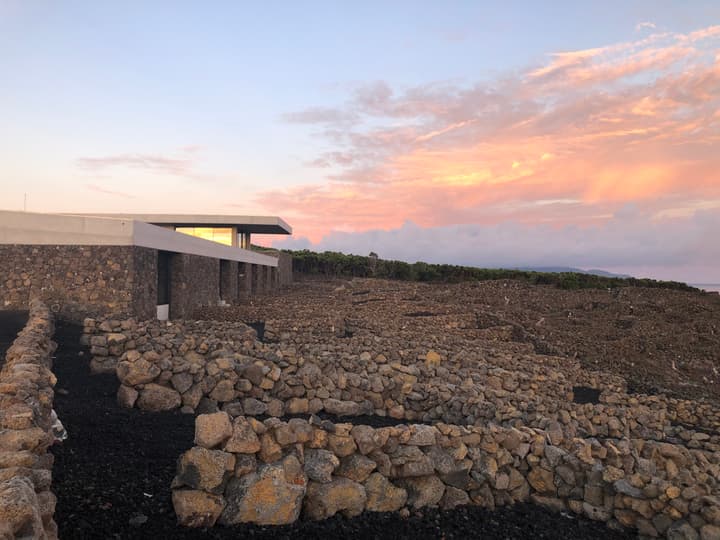 Azores Wine Company