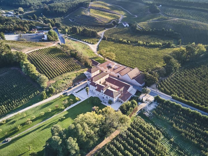 Quinta do Porto Nogueira | Casa Romana Vini