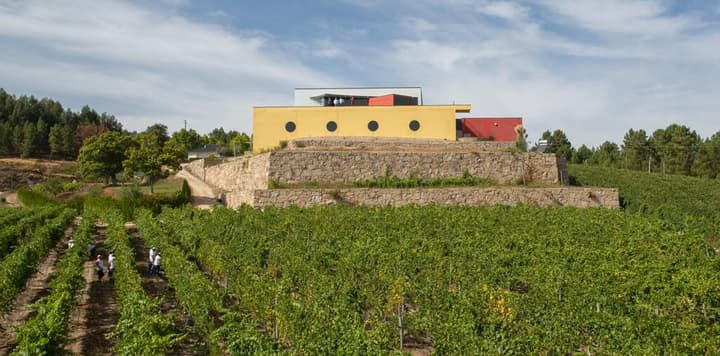 Quinta de Santa Cristina