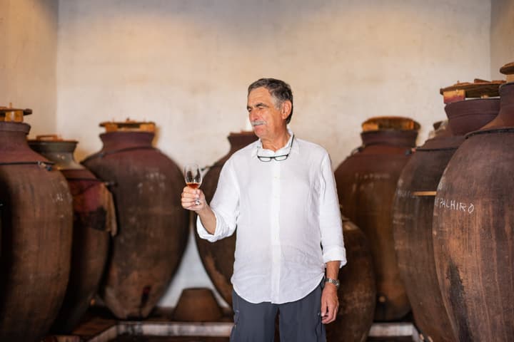 Talha de Frades
