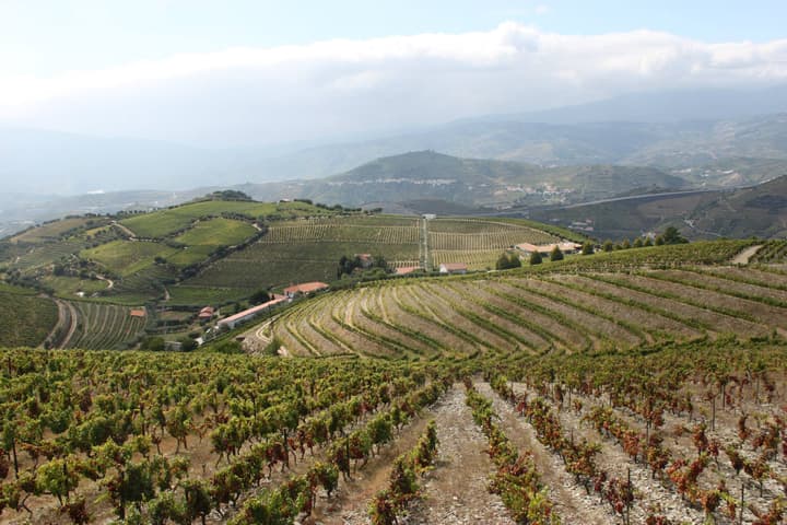 Quinta Seara d'Ordens
