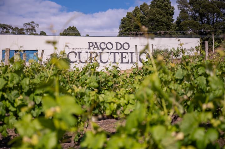 Paço do Curutelo