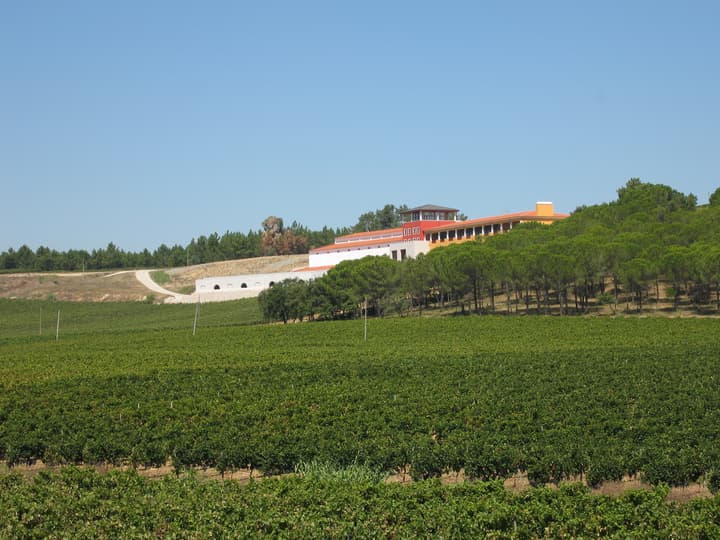 Campolargo