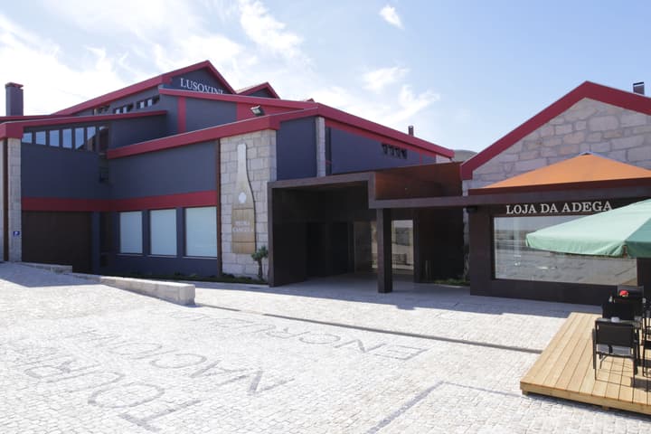 Lusovini