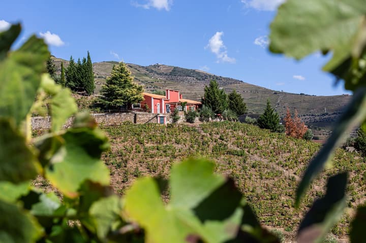 Quinta Vale D. Maria