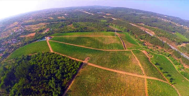 Herdade dos Templários