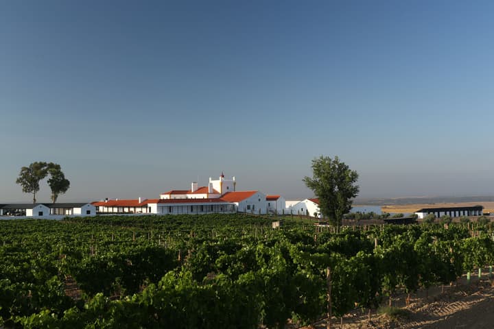 Torre de Palma