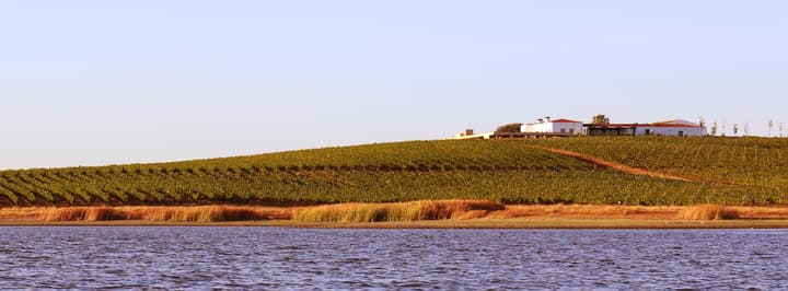Herdade do Esporão