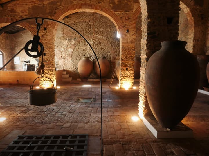Honrado Vineyards