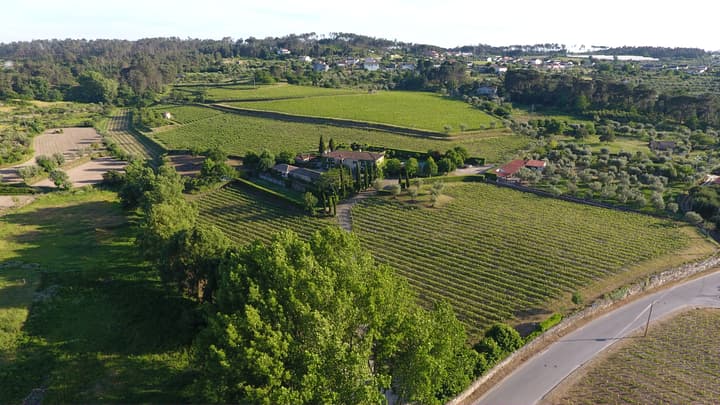 Soito Wines