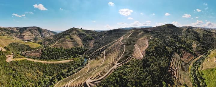 Menin Wine Company