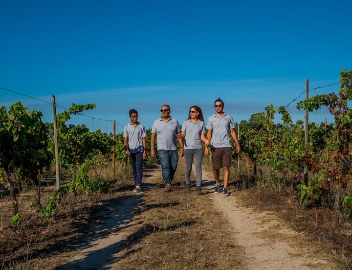Textura Wines