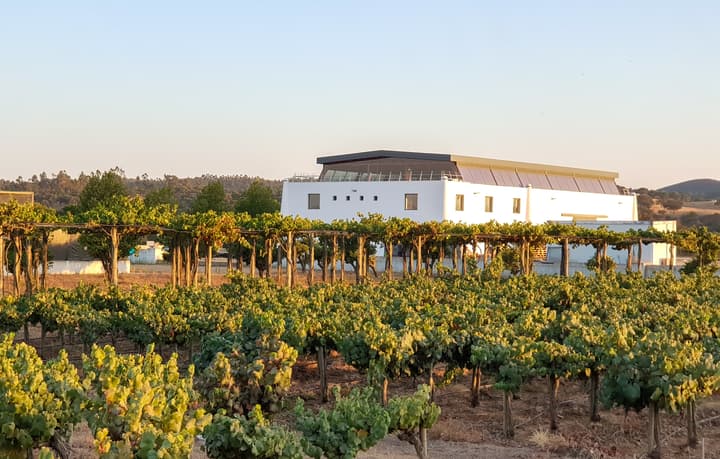 Herdade Canal Caveira