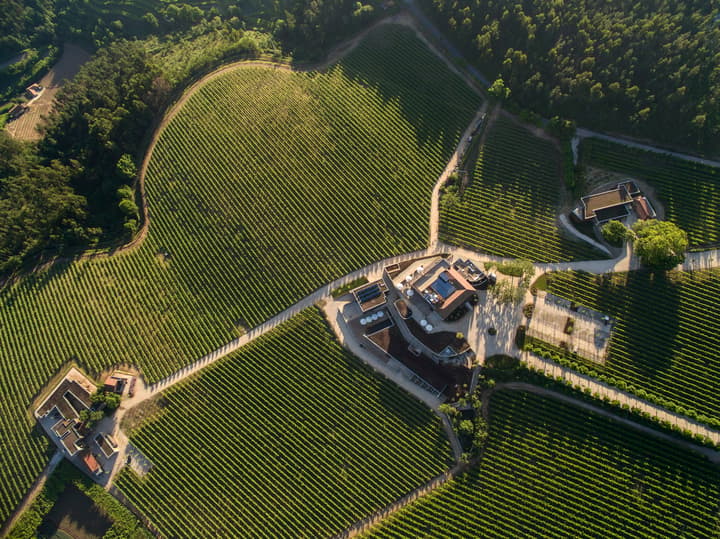 Monverde Wine Experience Hotel