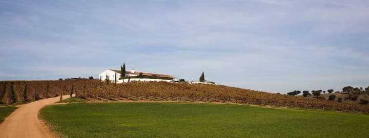 Herdade da Malhadinha Nova