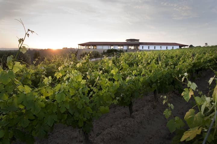 Quinta de Lemos