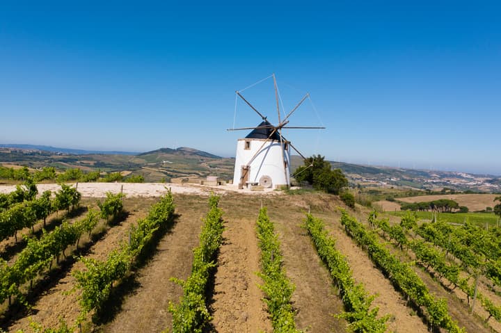Quinta da Folgorosa
