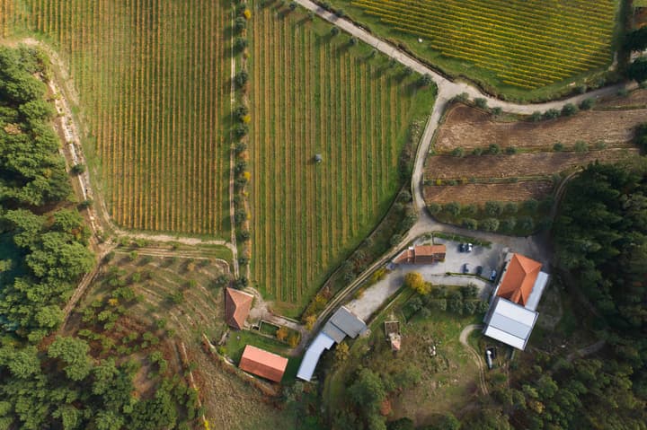 Julia Kemper Wines