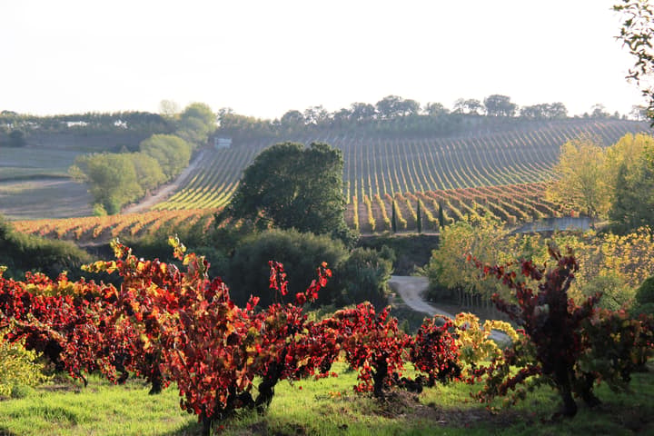 Quinta do Monte d'Oiro