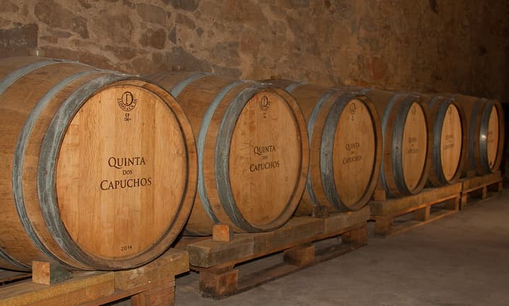 Quinta dos Capuchos